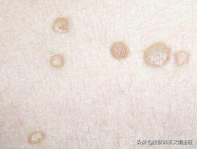 春回地暖打一最佳生肖，详细解答、定量解答解释落实